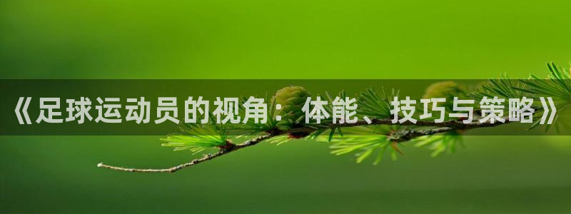 米兰体育官网下载平台注册要钱吗安全吗：《足球运动员的