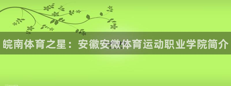 米兰体育官方正版app集团E.ON：皖南体育之星：安