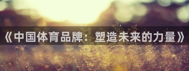 米兰体育官网下载招商电话地址：《中国体育品牌：塑造未