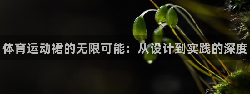 米兰体育官方正版app五金厂：体育运动裙的无限可能：