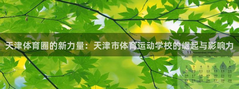 米兰体育官方正版app娱乐：天津体育圈的新力量：天津市体育运
