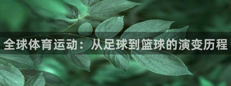米兰体育官方正版app娱乐代理怎么样：全球体育运动：从足球到