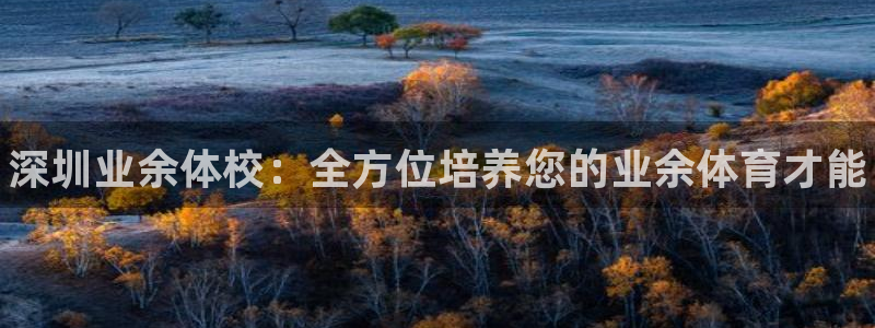 米兰体育官网下载平台APP：深圳业余体校：全方位培养您的业余