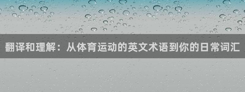 米兰体育官方正版app娱乐40996：翻译和理解：从体育运动