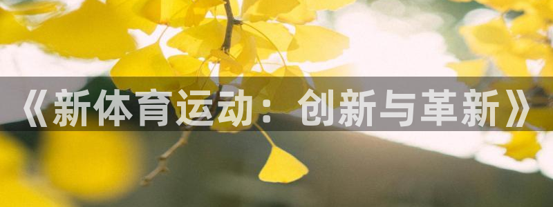 米兰体育官方正版app娱乐下载：《新体育运动：创新与革新》
