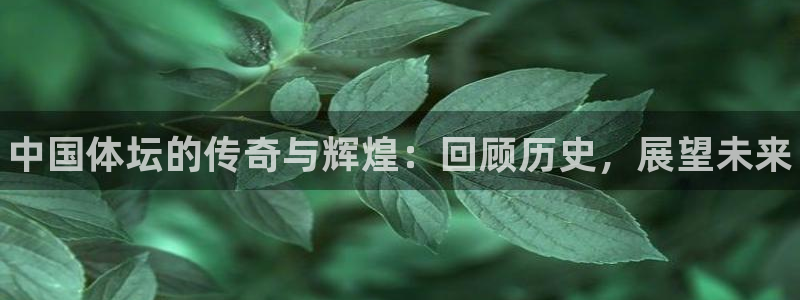 米兰体育官方正版app娱乐平台