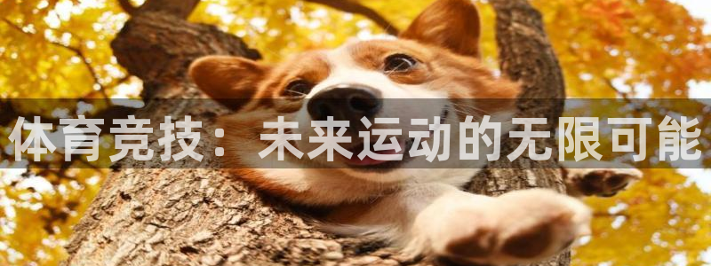 米兰体育官方正版app娱乐下载