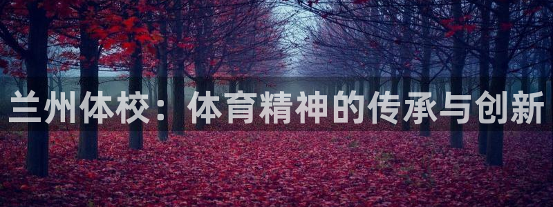 米兰体育官方正版app娱乐代理怎么样：兰州体校：体育