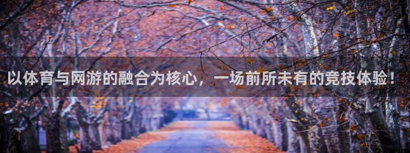 米兰体育官方正版app集团E.ON：以体育与网游的融