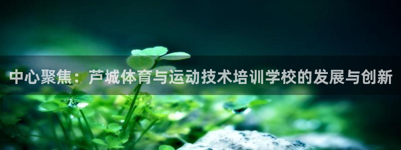 米兰体育官网下载招商电话是多少：中心聚焦：芦城体育与