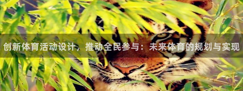 米兰体育官方平台体育：创新体育活动设计，推动全民参与