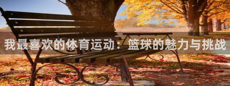 海南米兰体育官网下载：我最喜欢的体育运动：篮球的魅力