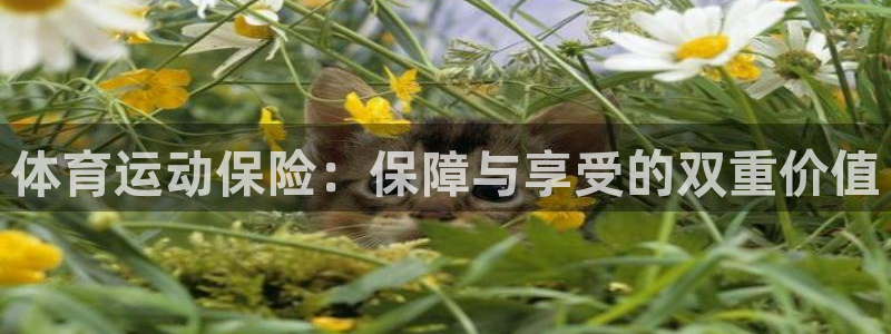 米兰体育官网下载平台注册要钱吗：体育运动保险：保障与