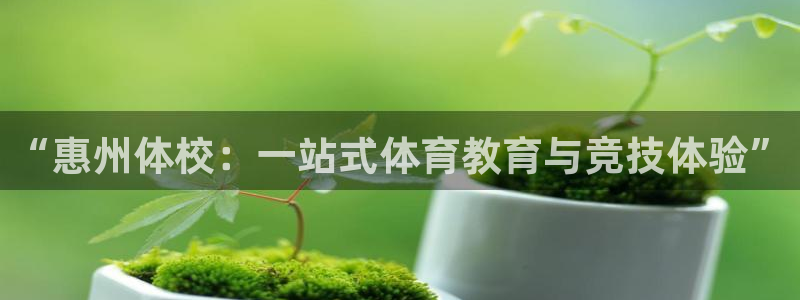 米兰体育官网下载：“惠州体校：一站式体育教育与竞技体验”