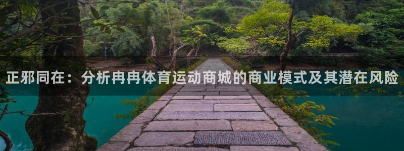 米兰体育官方正版app神州：正邪同在：分析冉冉体育运动商城的