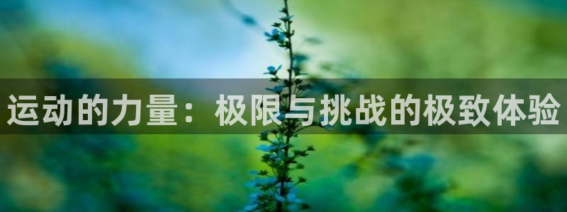 米兰体育官方正版app娱乐代理怎么样：运动的力量：极限与挑战