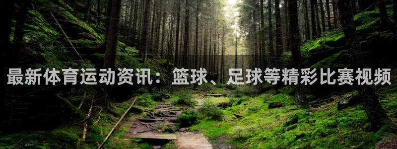 米兰体育官方正版app娱乐代理怎么样：最新体育运动资讯：篮球