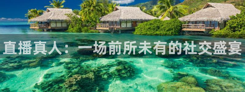足球球神直播在线观看：直播真人：一场前所未有的社交盛宴