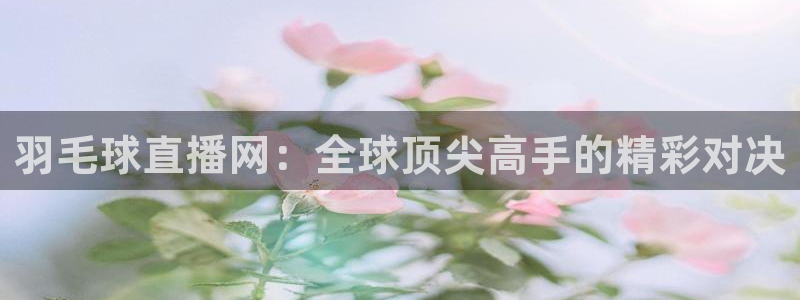 球神直播在线直播免费观看：羽毛球直播网：全球顶尖高手的精彩对决