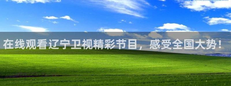 球神直播官网：在线观看辽宁卫视精彩节目，感受全国大势！