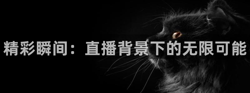 球神足球直播：精彩瞬间：直播背景下的无限可能