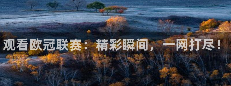 qszb球神直播：观看欧冠联赛：精彩瞬间，一网打尽！