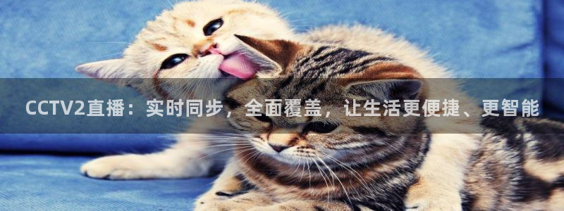 球神直播体育在线观看网站：CCTV2直播：实时同步，全面覆盖，让生活更便捷、更智能