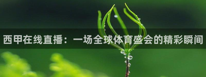 球神直播免费体育直播：西甲在线直播：一场全球体育盛会的精彩瞬间