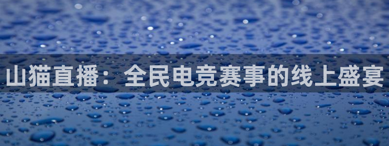 足球直播球神：山猫直播：全民电竞赛事的线上盛宴
