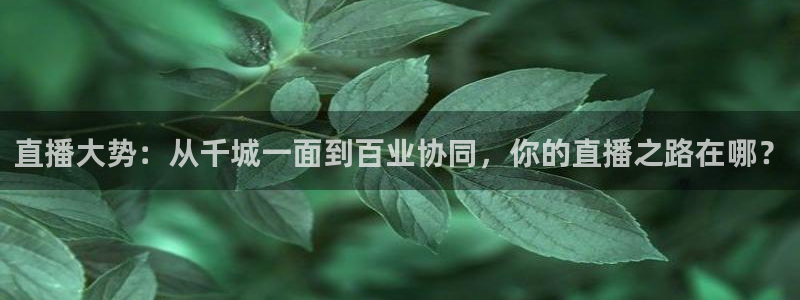 足球直播球神：直播大势：从千城一面到百业协同，你的直播之路在哪？