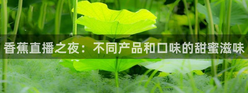 球神直播网：香蕉直播之夜：不同产品和口味的甜蜜滋味