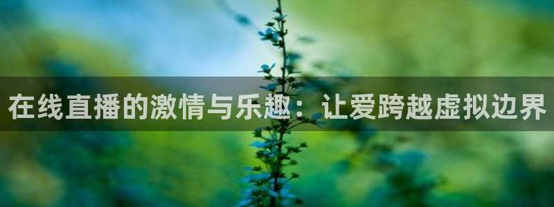 nba球神直播在线观看