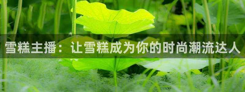 球神体育直播