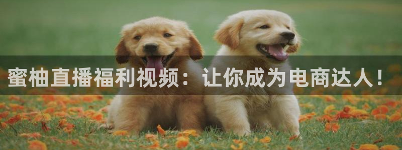 qszb球神直播