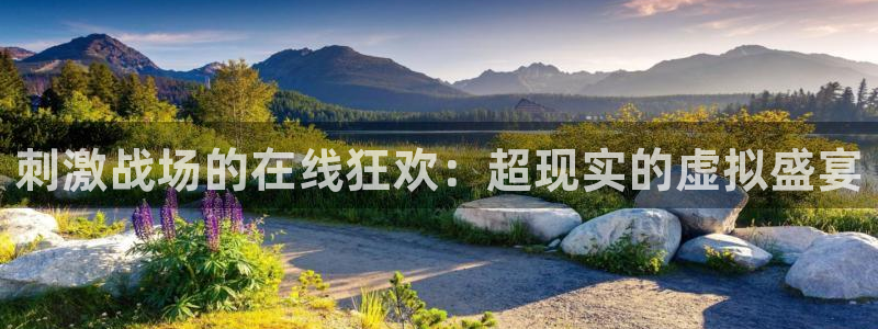 球神足球直播在线观看：刺激战场的在线狂欢：超现实的虚拟盛宴